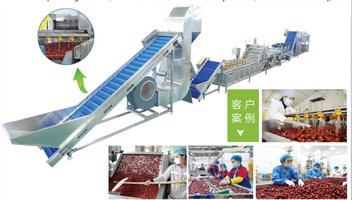 蔬菜清（qīng）洗機流水線的組件及分類